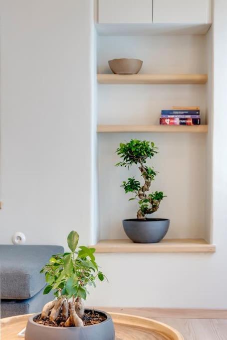 Nomade Vibrant Living Loft Apartment Ермополи Екстериор снимка